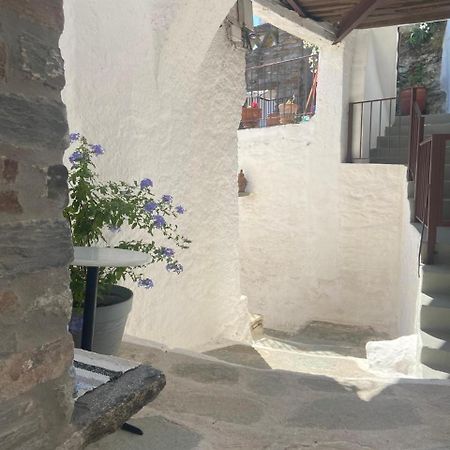 Persephone Villa Ioulis Bagian luar foto